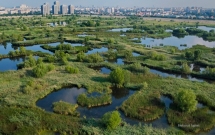 Dosarele X sau cum sa nu infiintam in Bucurestiul irespirabil un parc gata-facut