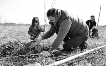 Plantam fapte bune in Romania: Marcam 5 ani de existenta prin noi actiuni in 2015