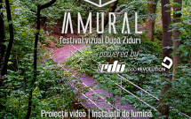 AMURAL // 3 zile pana la festivalul de arte vizuale post-internet