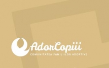 Proiectul de lege pentru simplificarea adoptiei a fost adoptat