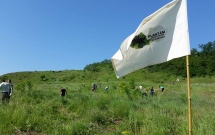 Plantam fapte bune in Romania in luna padurii