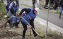 Peste 100 de voluntari si angajati OMV Petrom si-au unit fortele intr-o actiune de plantare din judetul Prahova