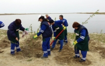 Voluntariat al angajatilor KMG International: 2200 de copaci plantati in judetul Constanta