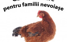 Gaini ouatoare pentru familii nevoiase din Dobrogea