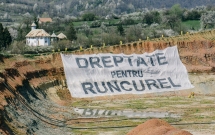 Profil de ONG: Greenpeace România