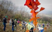 Acţiunea de împădurire organizată de „Plantăm fapte bune în România” se amână până în data de 19 noiembrie