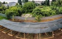 Kaufland România își transformă acoperișurile, parcările și exteriorul magazinelor în grădini urbane pentru comunitate
