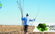 Coaliția Natura 2000 și Plantăm fapte bune în România, parteneri pentru natură