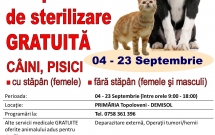 Organizaţia EDUXANIMA şi FNPA organizează o campanie de sterilizare gratuită în Argeş