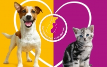 Ajută animalele din adăposturi // Campania de ajutorare a animalelor din adăposturi derulată de Mars Romania