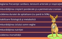 Kangaroo Care - mai aproape de părinții din România prin Asociația Prematurilor