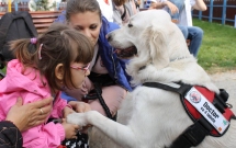 Sute de copii și bătrâni s-au bucurat de vizitele câinilor de terapie de la „Doctor cu 4 lăbuțe”
