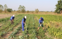 Tineri defavorizați susținuți de CONCORDIA Agricultură