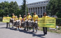 Greenpeace România “cumpără” Roșia Montană
