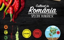 Gustul legumelor de altă dată ajunge în comerțul modern prin proiectul ”Cultivat în România, specific românesc”