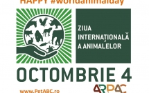 Ziua Internaţională a Animalelor - o sărbătoare globală la care participă şi România pe 4 octombrie