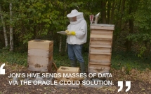 Oracle Cloud și proiectul „World Bee” lansează o rețea globală care folosește inteligența artificială (AI) pentru a monitoriza și a reduce declinul alarmant al populațiilor de albine