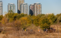 Banca Transilvania și Asociația Parcul Natural Văcărești lansează programul de voluntariat “Fii Ranger Urban!”