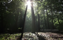 “Natura umană”, o nouă campanie Digi24, din 1 august 2019