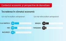 Numai o treime dintre micro-întreprinderile românești intervievate au crescut în ultimul an, arată Barometrul Minților Creative