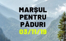 Organizatorii Marșului pentru Păduri, solidari cu pădurarii în doliu