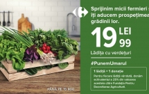 Carrefour lansează un produs sezonier cu legume proaspete, la un preț unic, pentru a susține micii producători agricoli