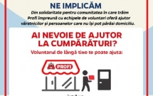 Proiectul PROFI de voluntariat se exinde în țară