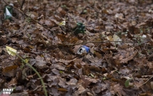 Plogging pentru România III // Sportivi amatori voluntari curăță de gunoaie zone verzi din Ilfov, Constanța și Prahova