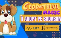 Îl adopt pe Badabum - o campanie ASPA, Big Hearts Society și Clopoțelul Magic