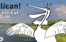 SOR lansează „PETlican”, un proiect pentru combaterea  poluării Deltei Dunării