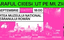 Crescut pe Muzică continuă sub forma Manual de lăutărie