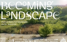 BECOMING LANDSCAPE. Parcul Natural Văcărești, reconfigurat ca scenă de un grup de muzicieni și performeri