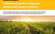 McDonald's își asumă angajamentul de a atinge obiectivul „zero emisii de carbon” până în 2050