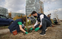 OMV Petrom a plantat un milion de puieți în cadrul „România plantează pentru mâine”