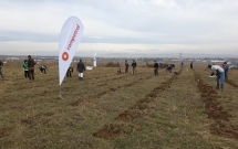 Rompetrol continuă campania de plantare în județul Prahova