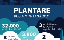 JYSK România și Plantăm fapte bune în România sărbătoresc 5 ani de colaborare prin plantarea a 32.000 de puieți în județul Alba