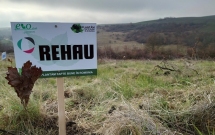 REHAU România și Plantăm fapte bune în România au plantat peste 7.000 de puieți în județul Timiș