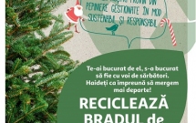 Auchan România organizează târguri de brazi naturali și demarează o campanie de colectare și reciclare a acestora