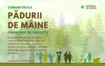 Comunitățile Pădurii de Mâine: program de finanțare nerambursabilă