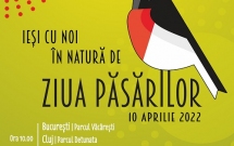 Marea Reîntâlnire: Ziua Păsărilor se întoarce în aer liber