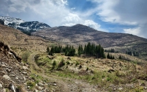 100 de hectare tăiate în Munții Făgăraș, vor fi refăcute de către Fundația Conservation Carpathia, prin plantarea a 435.000 de puieți