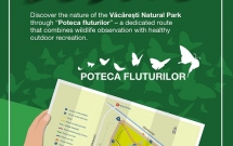 Fundația Globalworth deschide un nou traseu în  Parcul Natural Văcărești