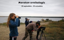 Big Day 2022 – Maraton ornitologic