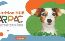 ARPAC lansează Nutrition HUB - cel mai amplu material despre nutriția sănătoasă a animalelor de companie