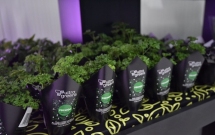 Kaufland și Ultragreens inaugurează prima seră verticală din România