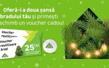 Leroy Merlin organizează pentru al optulea an consecutiv campania de vânzare sustenabilă a brazilor naturali de Crăciun