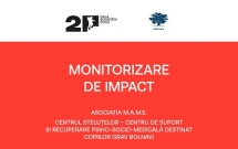 Monitorizare de Impact – Etapa 1 // Centrul Steluțelor