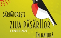 Sărbătorește Ziua Păsărilor în natură