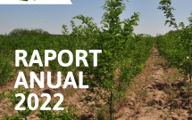 Peste 730.000 de puieți au fost plantați în 2022  de Plantăm fapte bune în România
