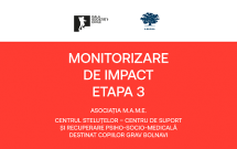 Monitorizare de Impact – Etapa 3 // Centrul Steluțelor